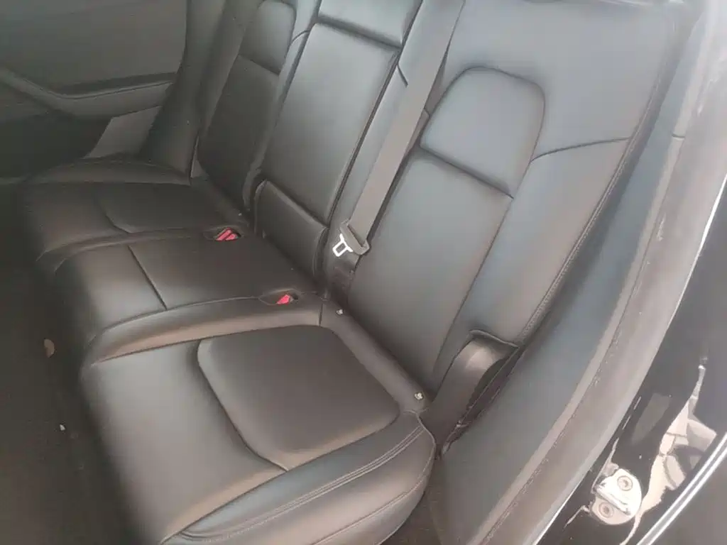 Tesla Model Y — фото 13