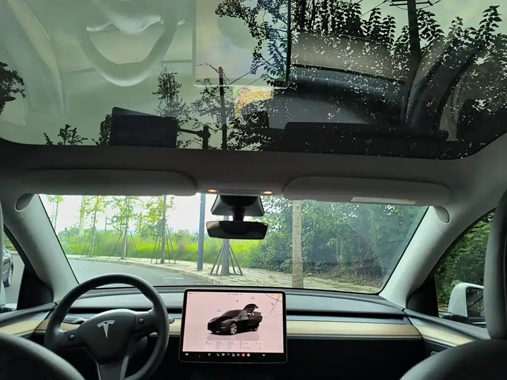Tesla Model Y — фото 14