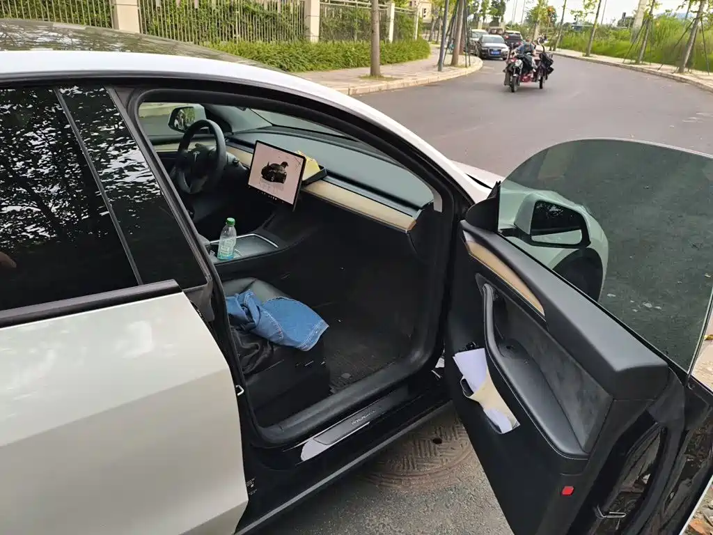 Tesla Model Y — фото 19
