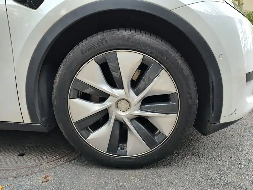 Tesla Model Y — фото 25