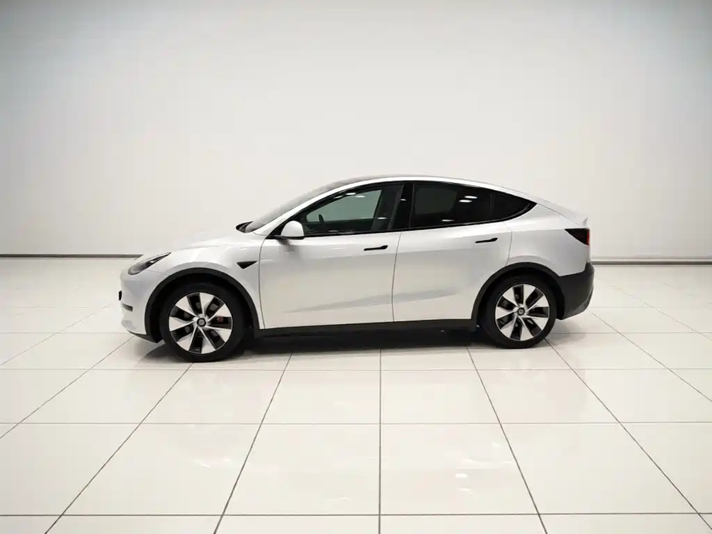 Tesla Model Y — фото 26