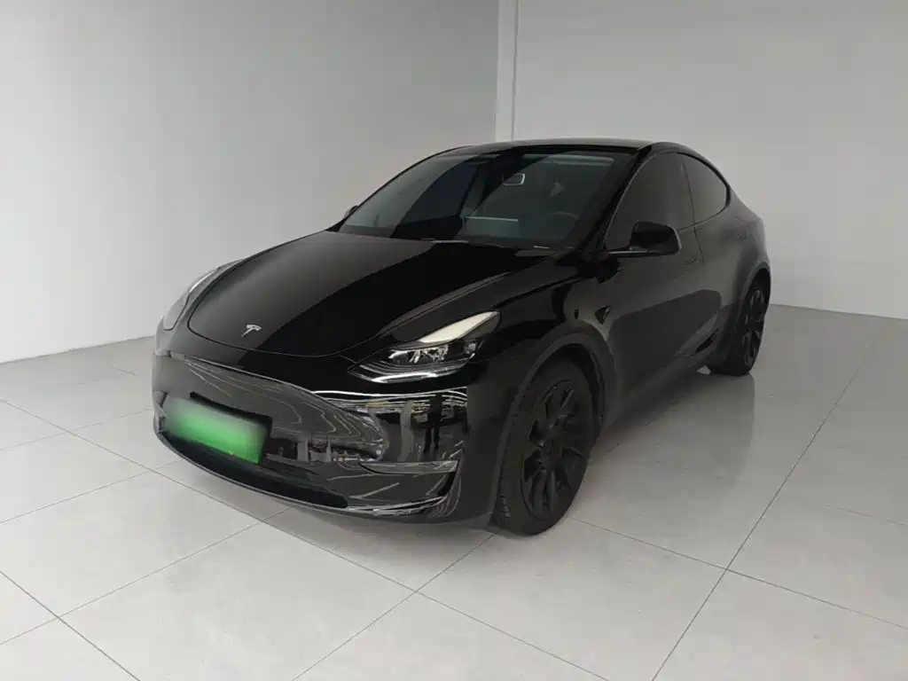 Tesla Model Y — фото 2
