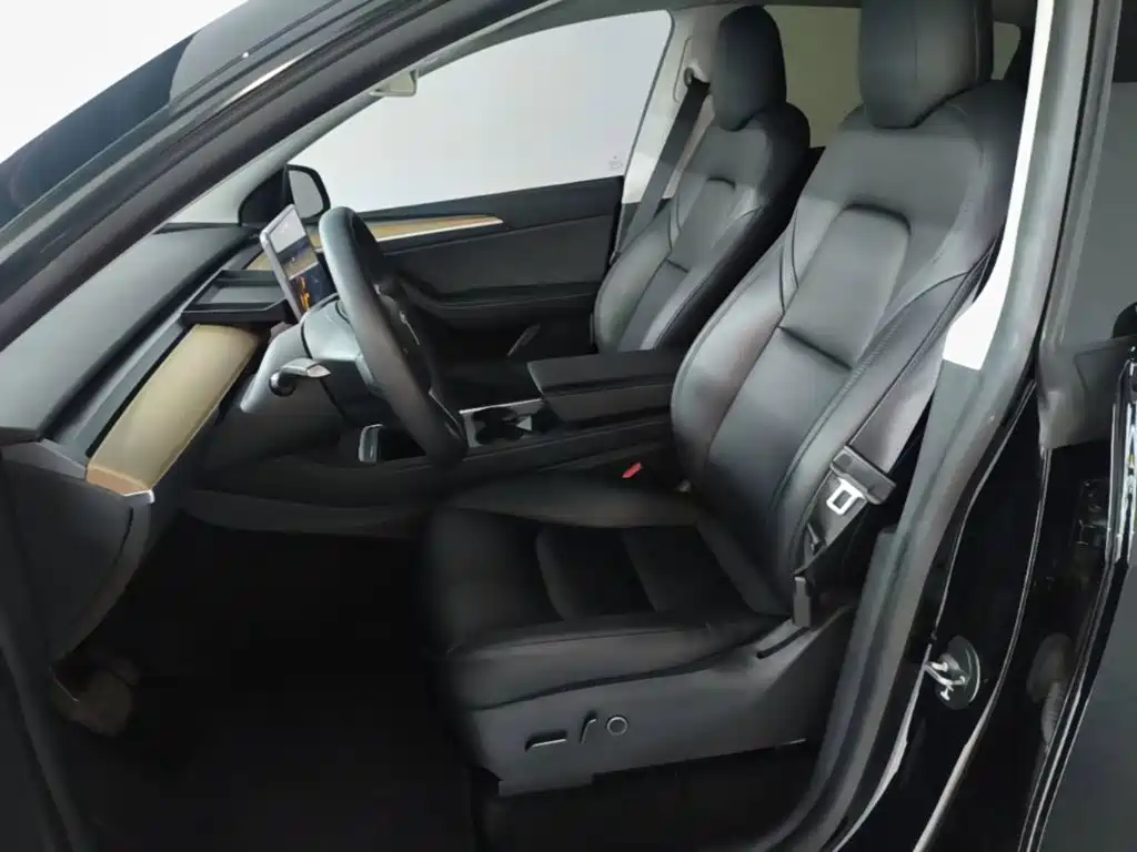 Tesla Model Y — фото 15
