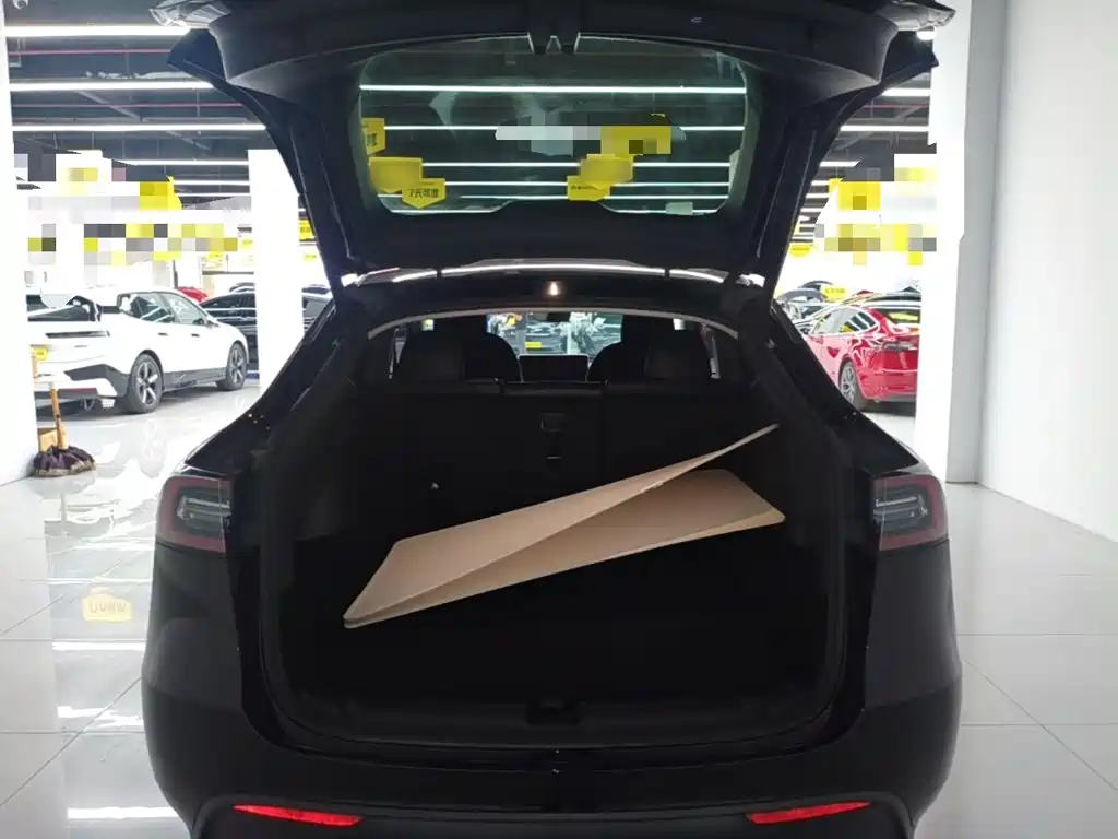 Tesla Model Y — фото 19