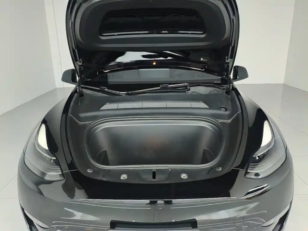 Tesla Model Y — фото 20