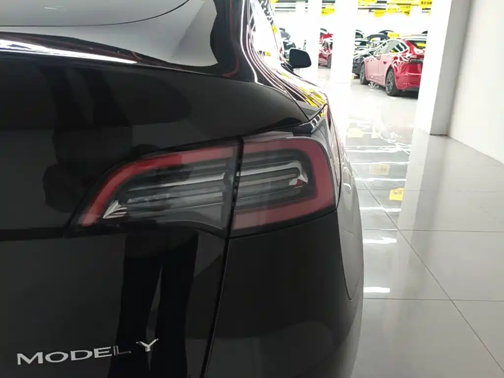 Tesla Model Y — фото 8