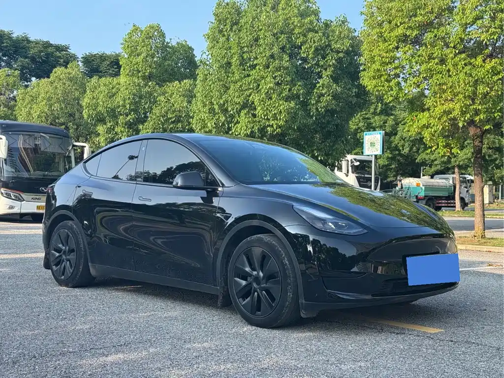 Tesla Model Y — фото 3