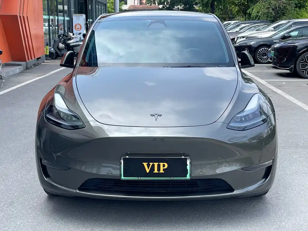 Tesla Model Y — фото 2