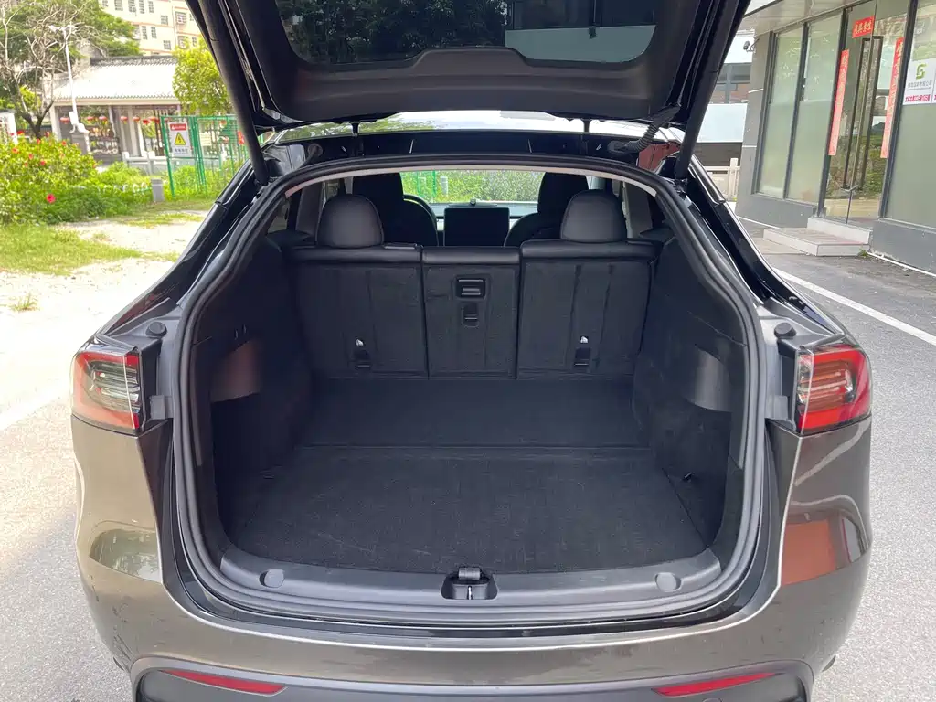 Tesla Model Y — фото 18