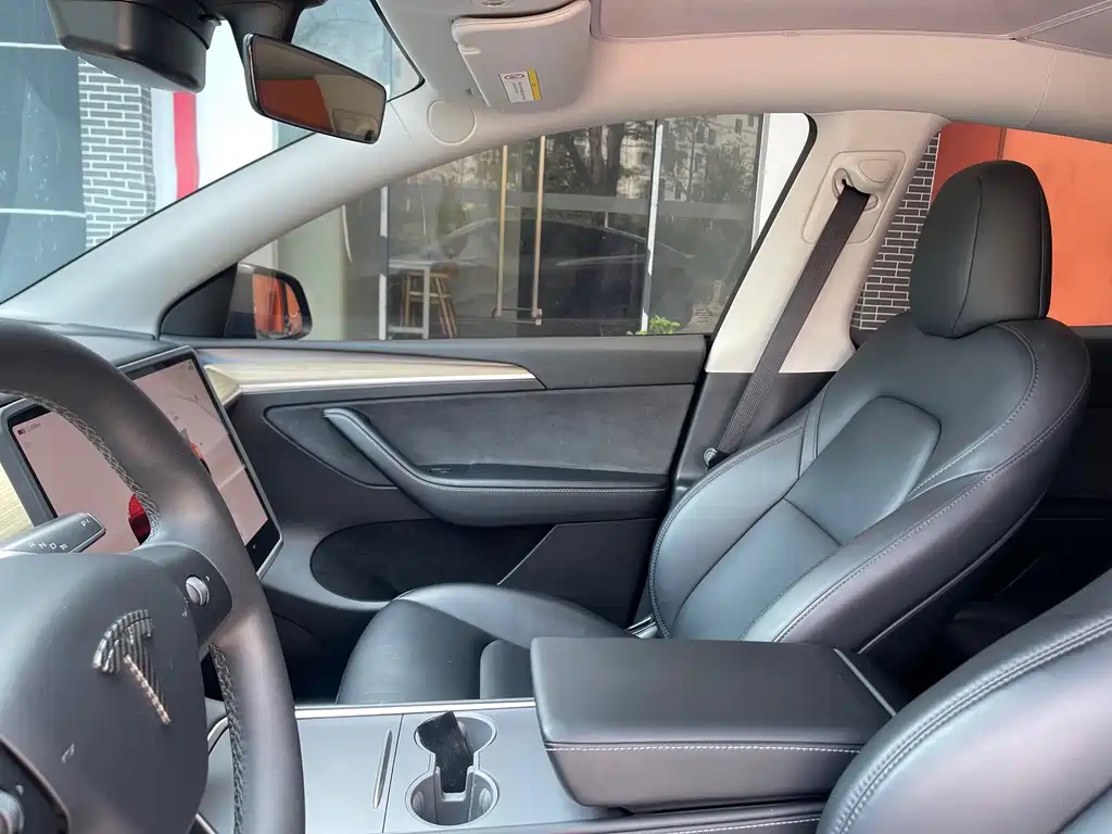 Tesla Model Y — фото 20