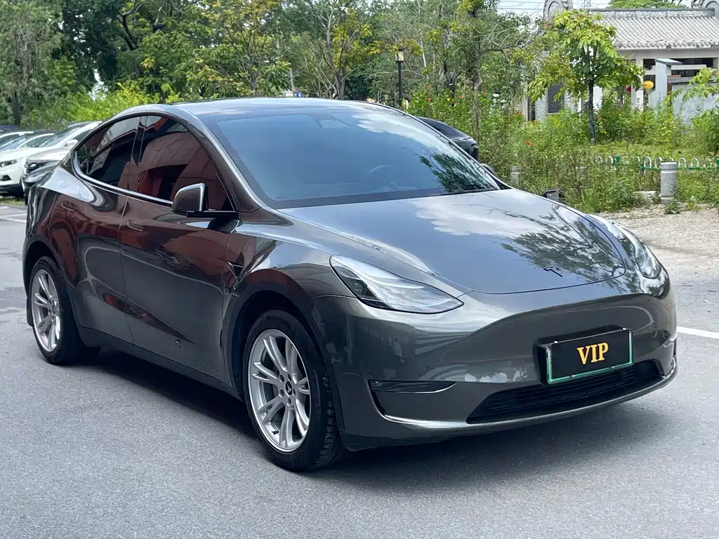 Tesla Model Y — фото 3
