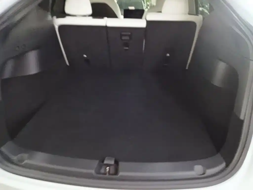 Tesla Model Y — фото 19