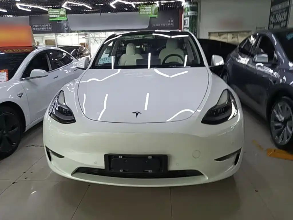 Tesla Model Y — фото 3