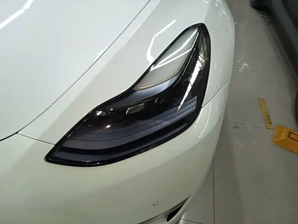 Tesla Model Y — фото 24