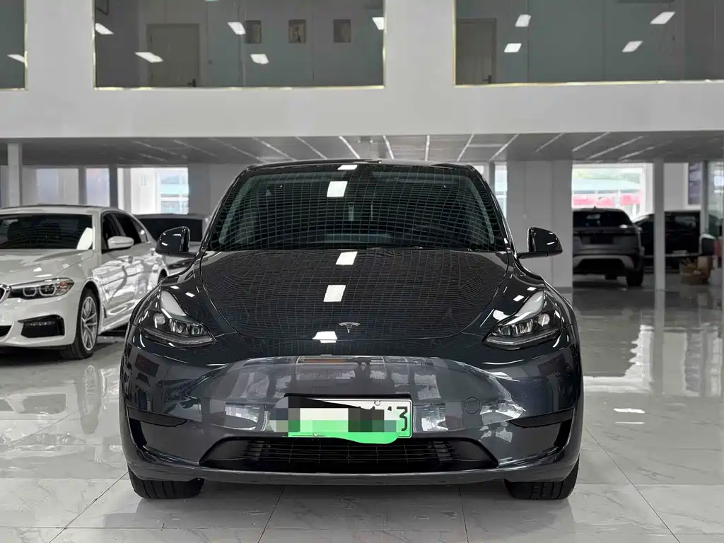 Tesla Model Y — фото 2