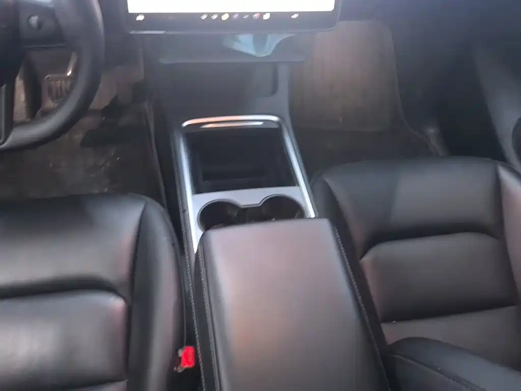 Tesla Model Y — фото 14