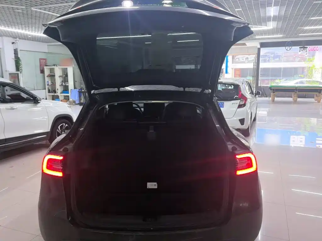 Tesla Model Y — фото 19
