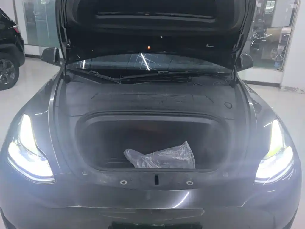 Tesla Model Y — фото 20