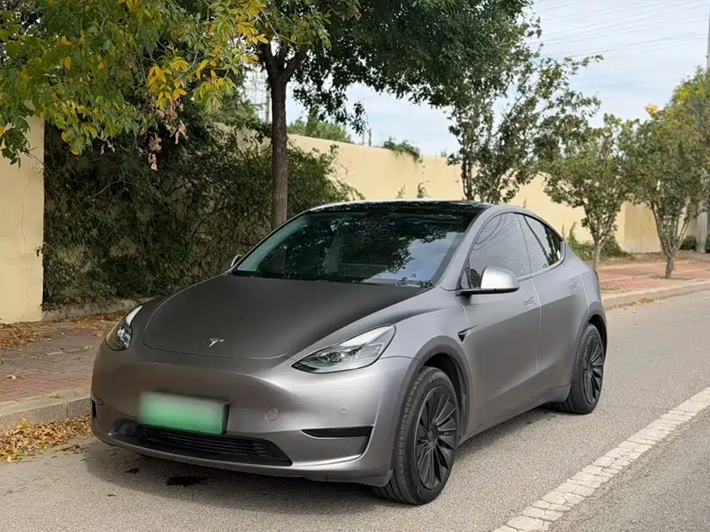 Tesla Model Y — фото 2