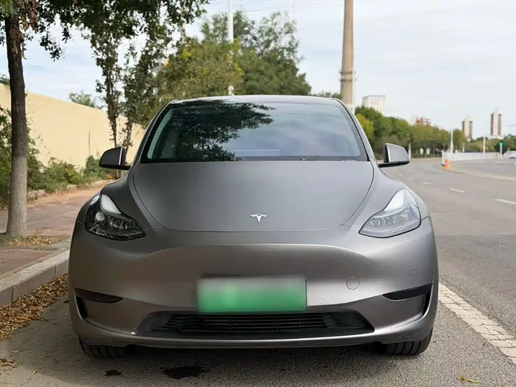 Tesla Model Y — фото 3