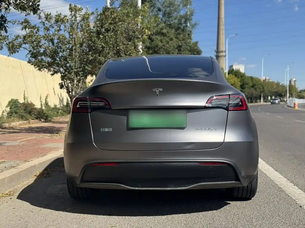 Tesla Model Y — фото 6