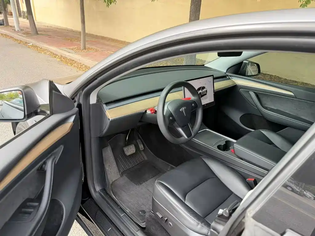 Tesla Model Y — фото 9