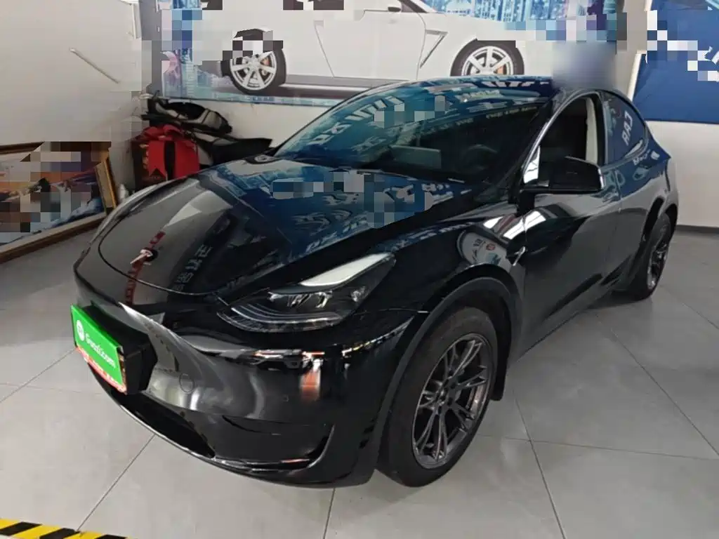 Tesla Model Y — фото 2