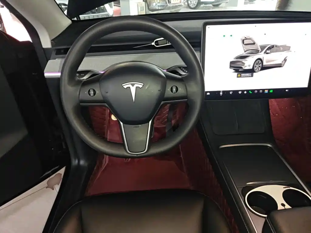 Tesla Model Y — фото 11