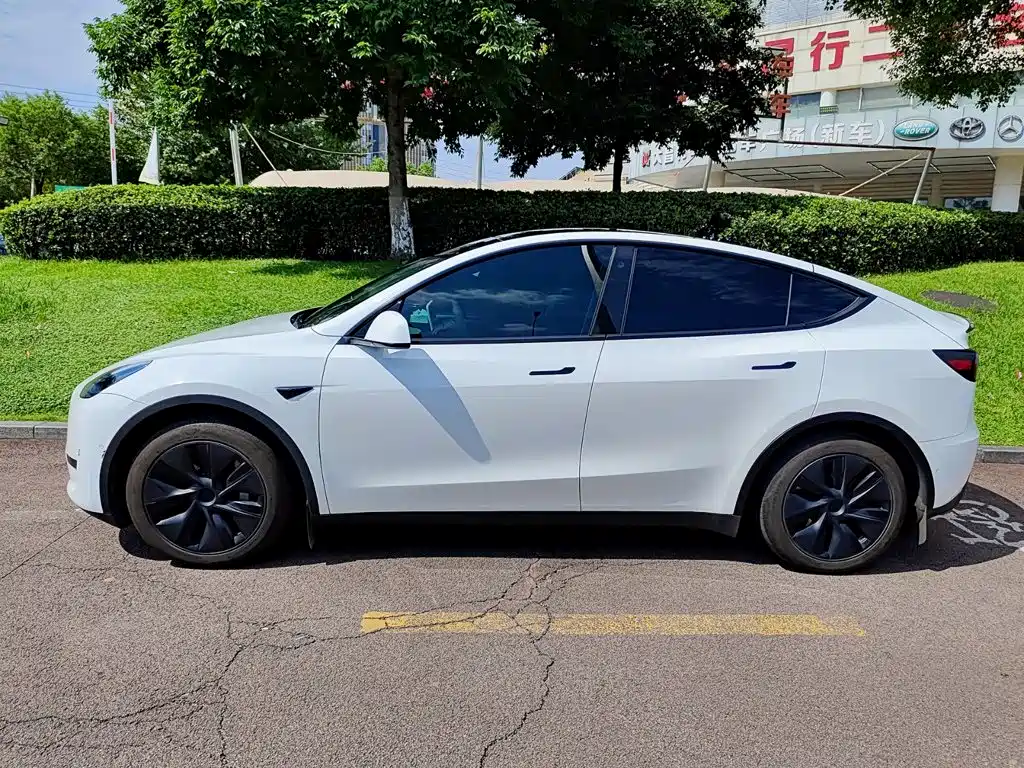 Tesla Model Y — фото 3