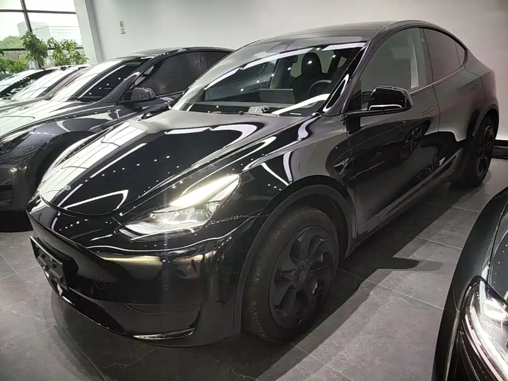 Tesla Model Y — фото 2