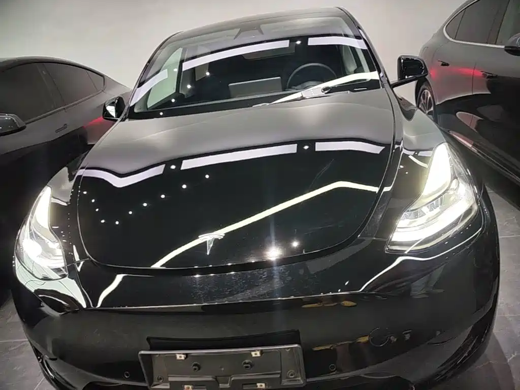 Tesla Model Y — фото 3