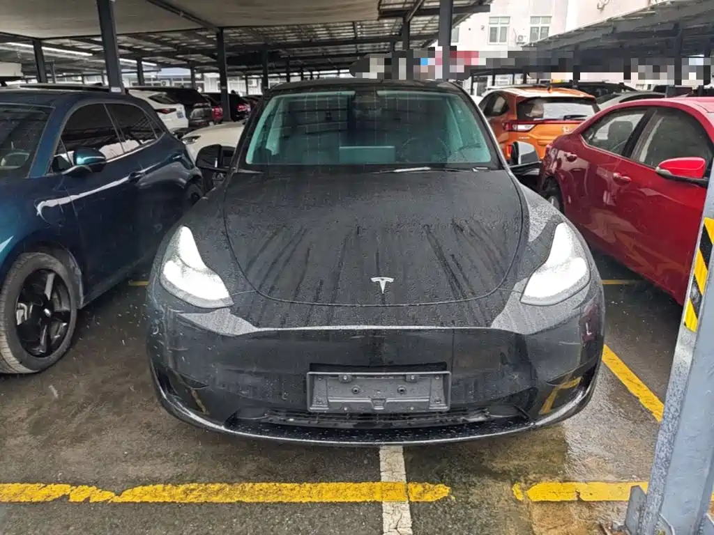 Tesla Model Y — фото 3