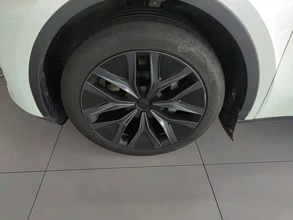 Tesla Model Y — фото 23