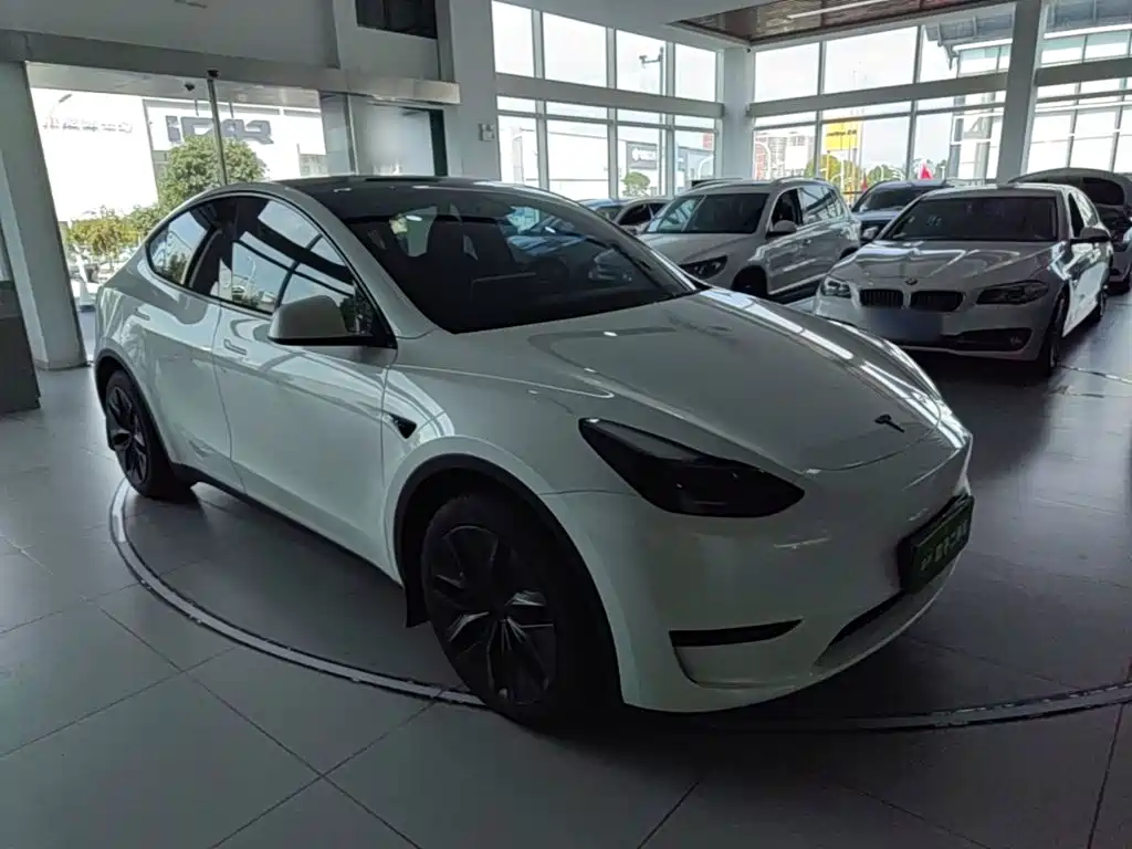 Tesla Model Y — фото 4