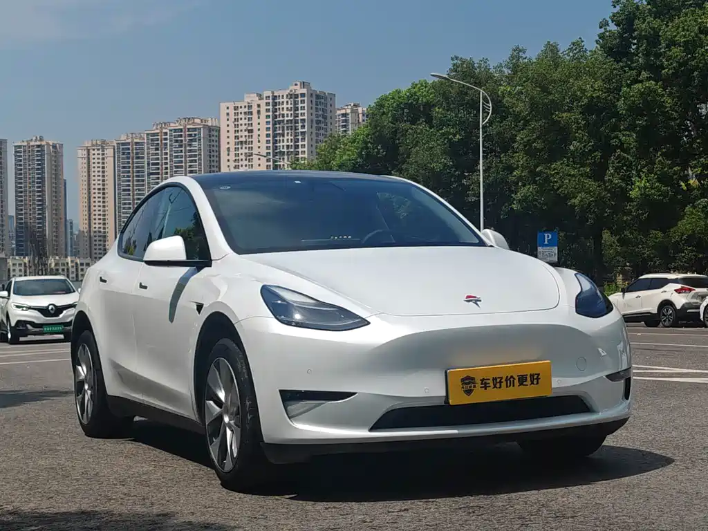 Tesla Model Y — фото 2