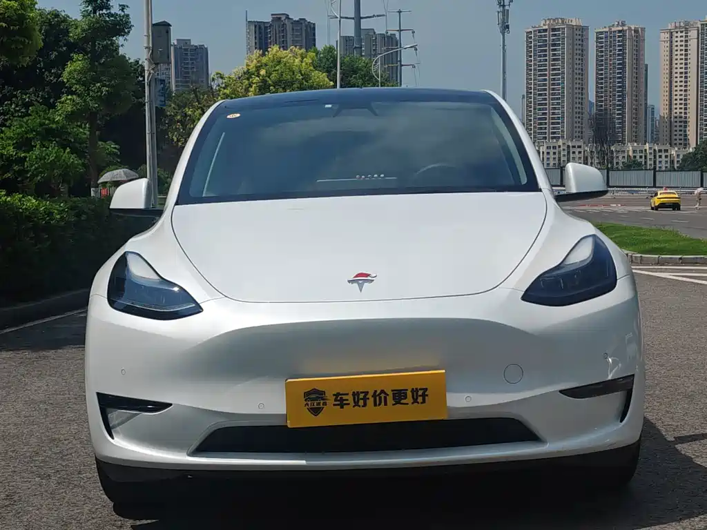 Tesla Model Y — фото 4