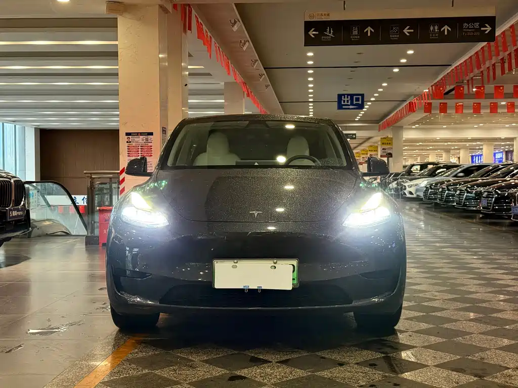 Tesla Model Y — фото 2