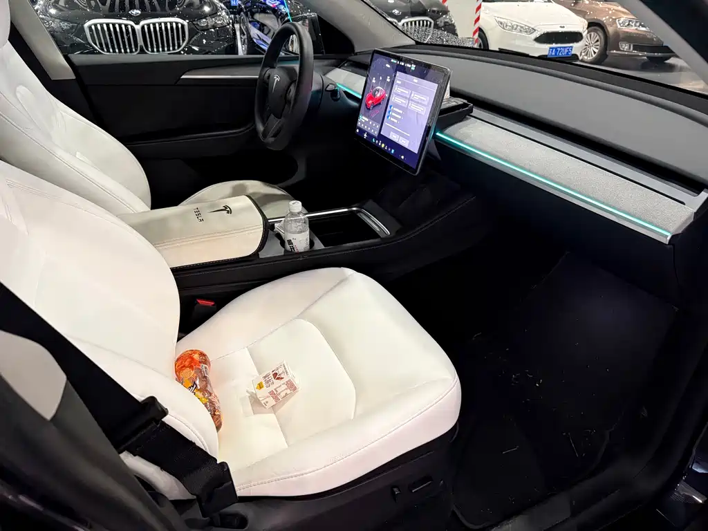 Tesla Model Y — фото 9