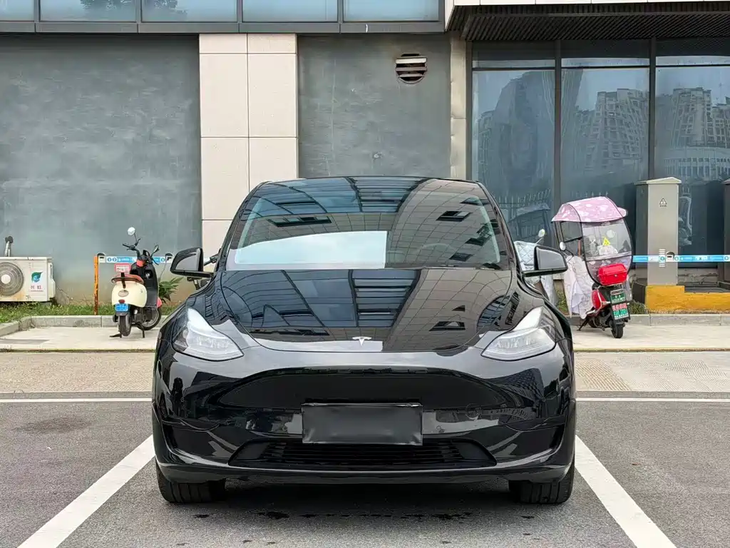 Tesla Model Y — фото 2