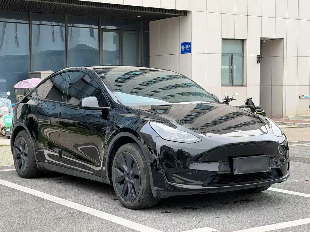 Tesla Model Y — фото 8
