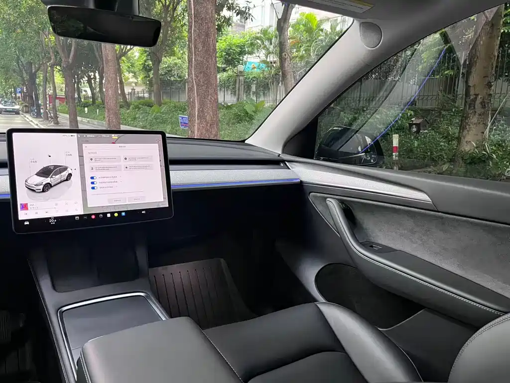 Tesla Model Y — фото 10