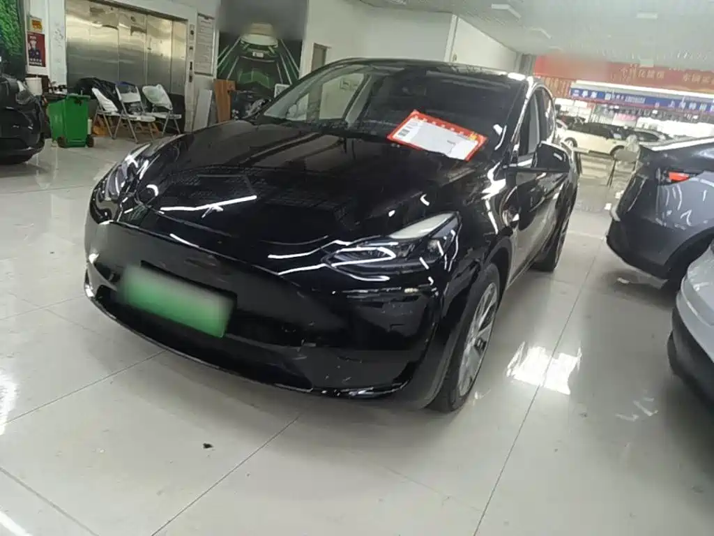 Tesla Model Y — фото 2