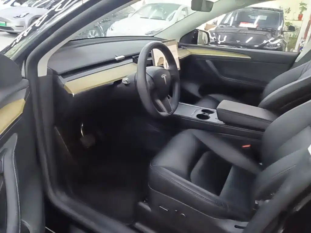 Tesla Model Y — фото 16