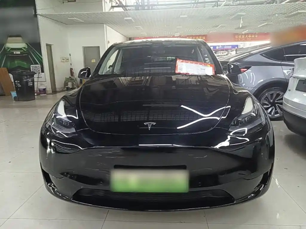 Tesla Model Y — фото 3