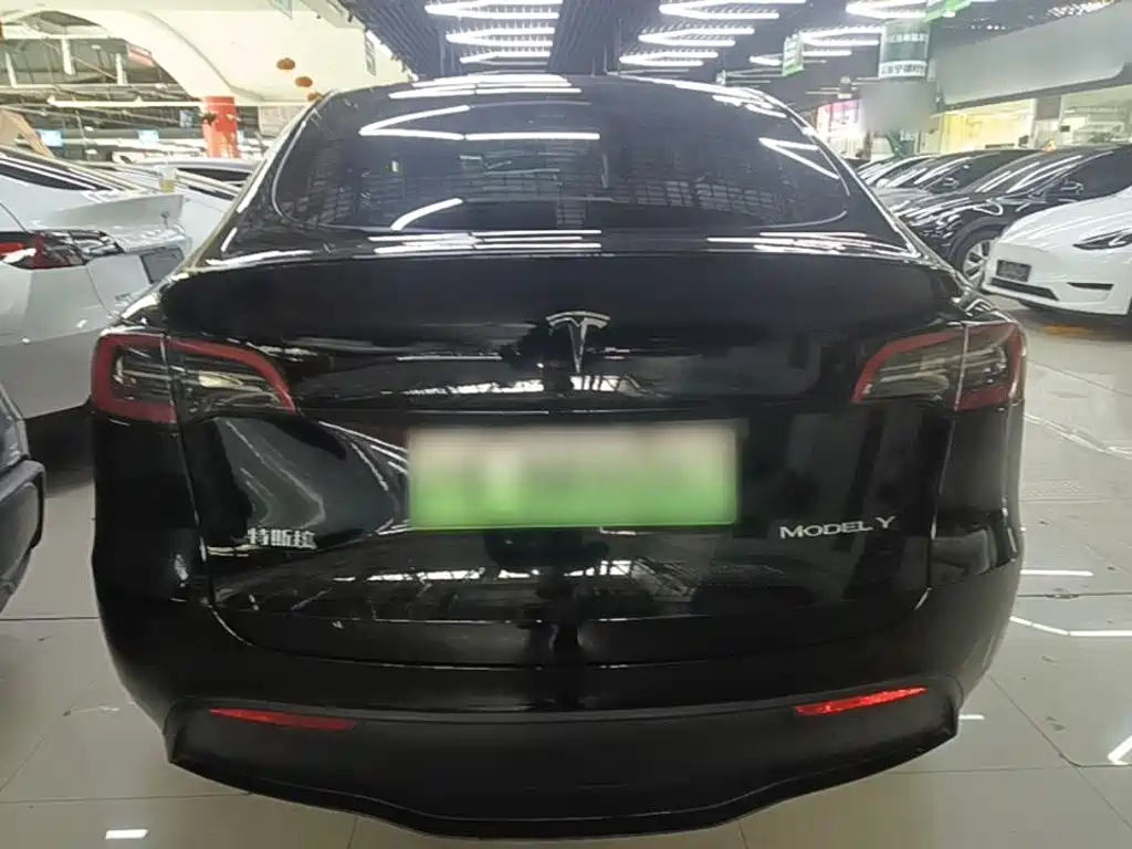 Tesla Model Y — фото 6