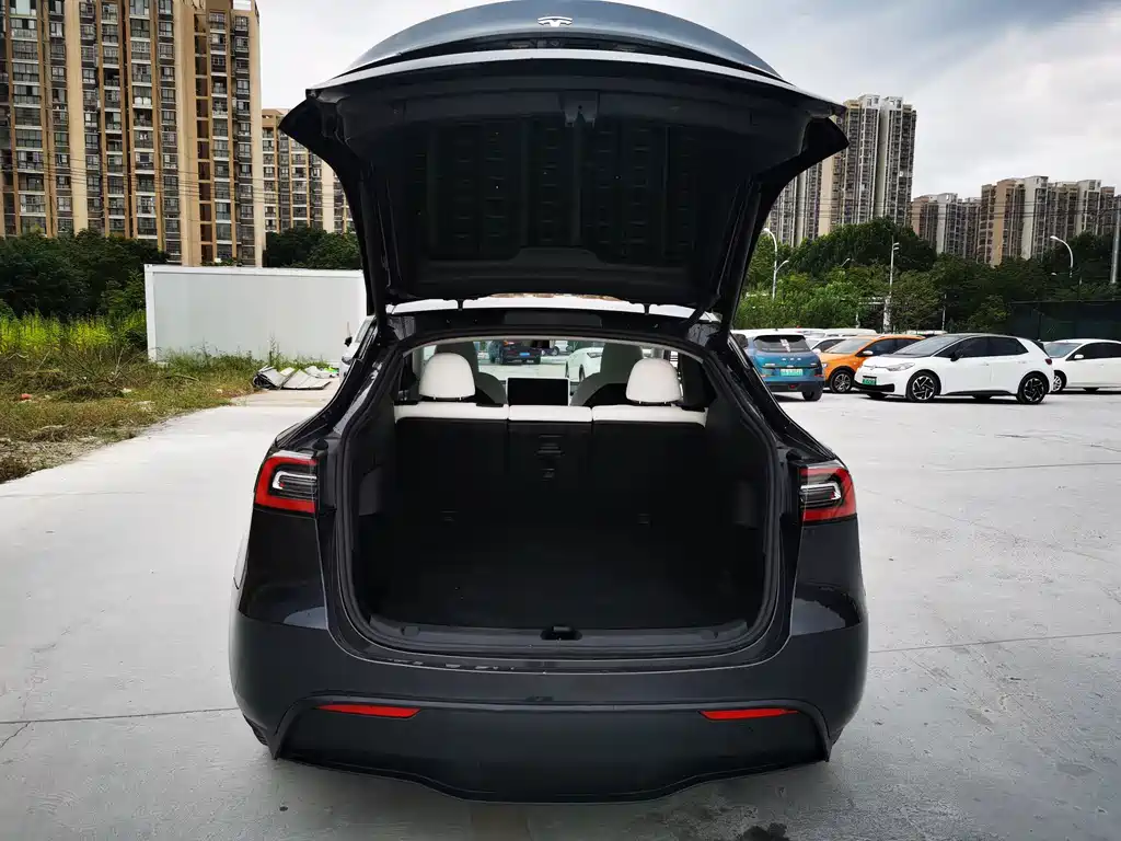 Tesla Model Y — фото 13