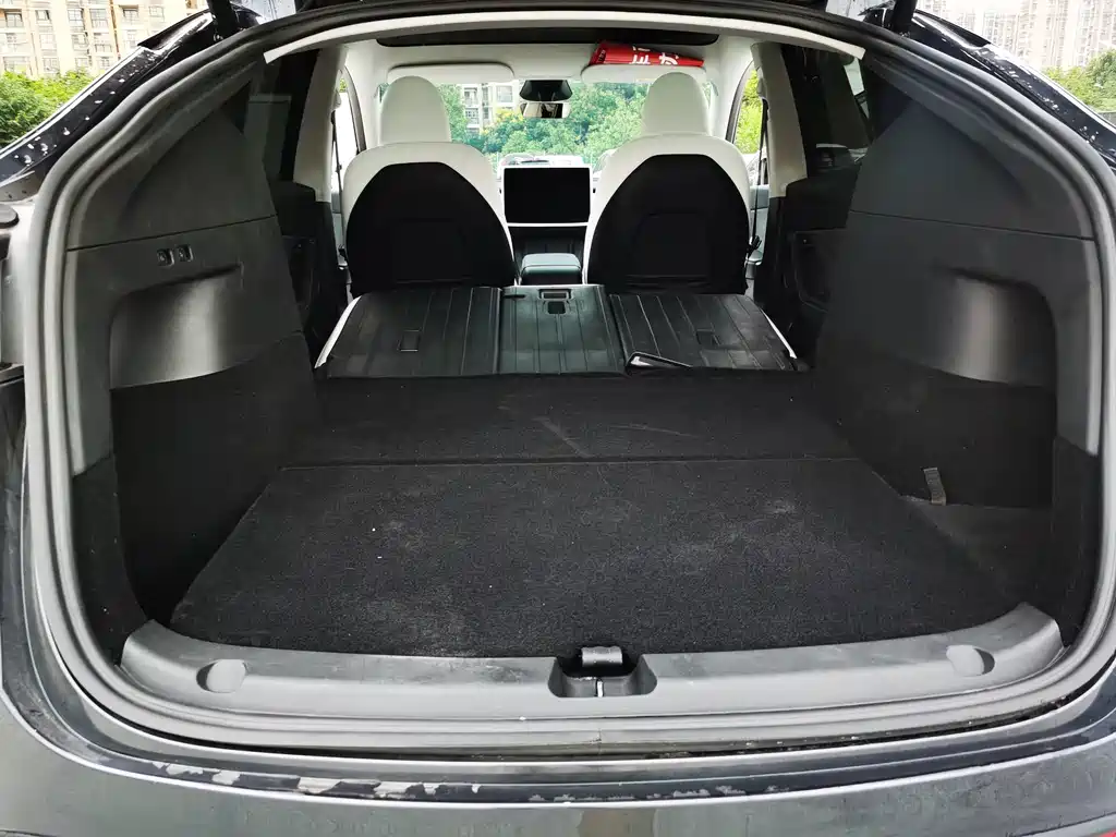 Tesla Model Y — фото 14