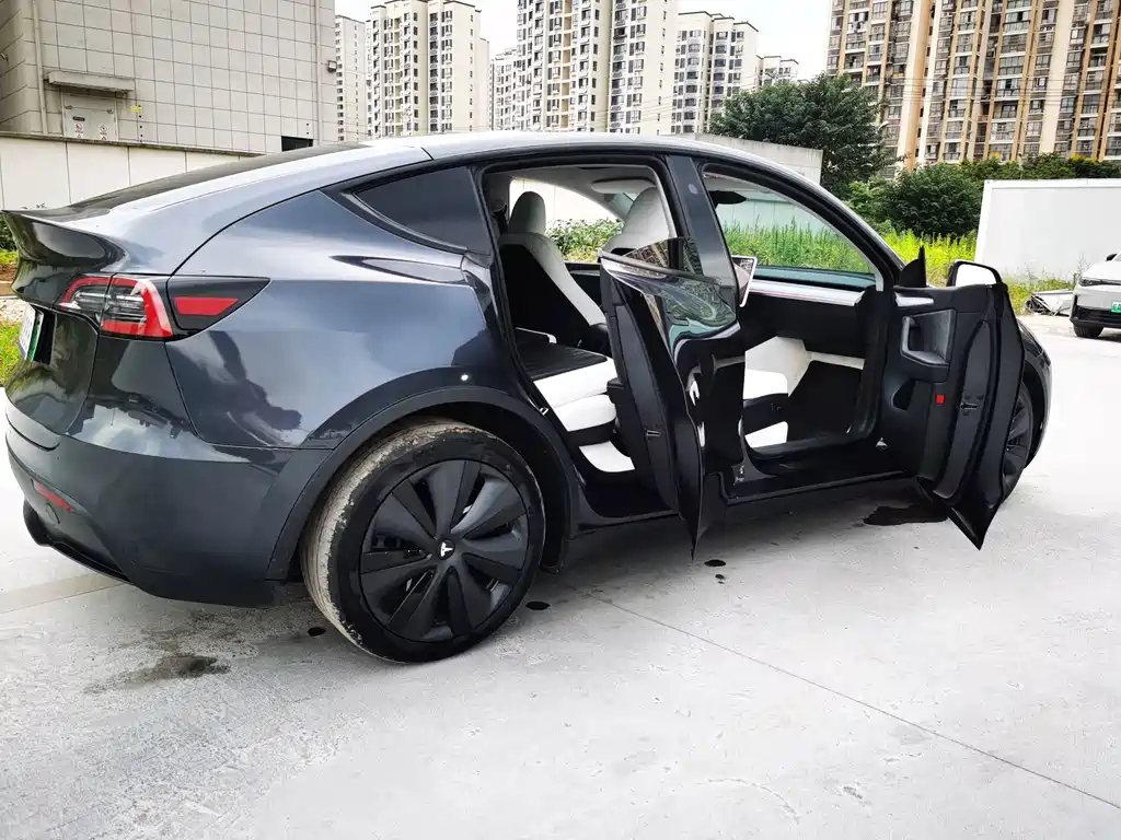 Tesla Model Y — фото 17
