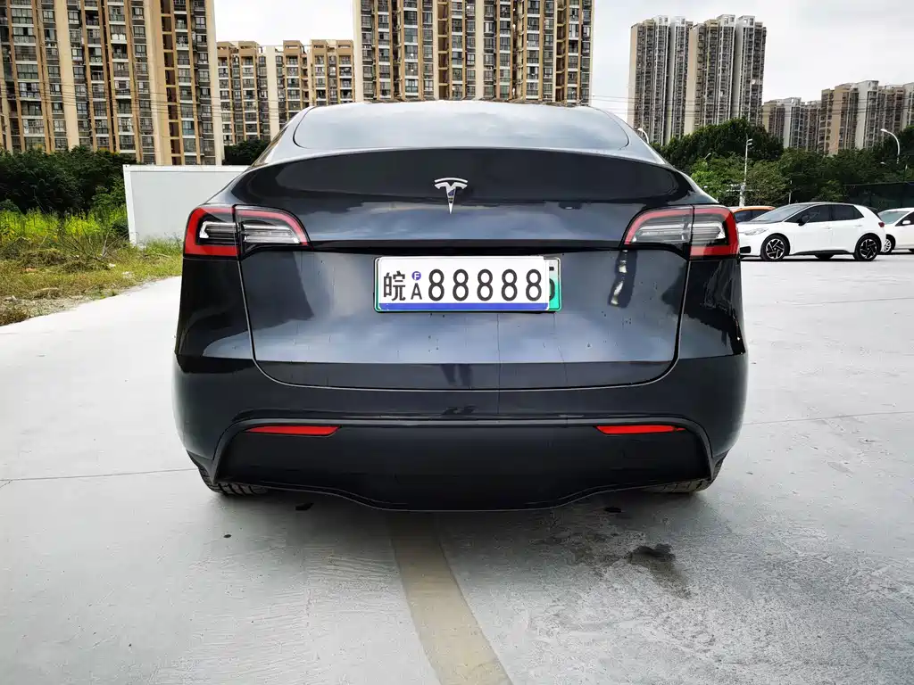 Tesla Model Y — фото 18