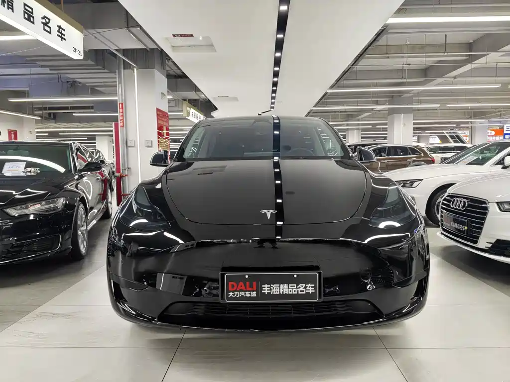 Tesla Model Y — фото 2